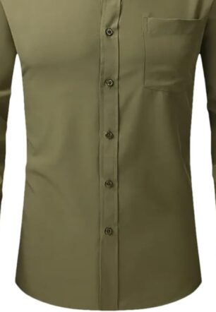 Men Regular Fit Shirt