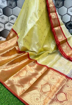 Women Plus Size Saree